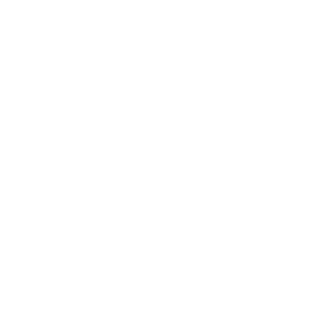 Tannev-Consultants-Logo-Icon_White